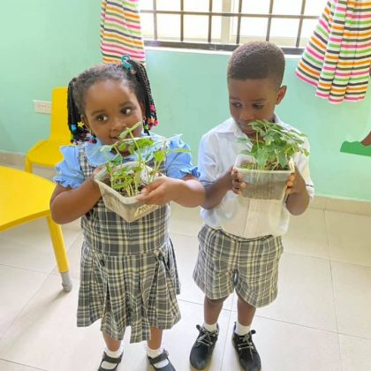 Botfol Schools - Elementary